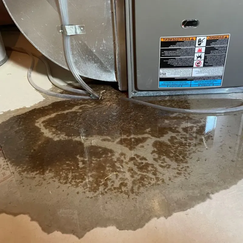 Pipe Burst and Leak Restoration in Sunman, IN